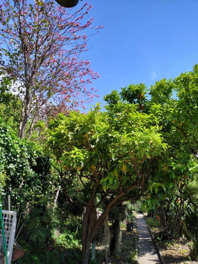 Maison Trucchi Menton Luaran gambar